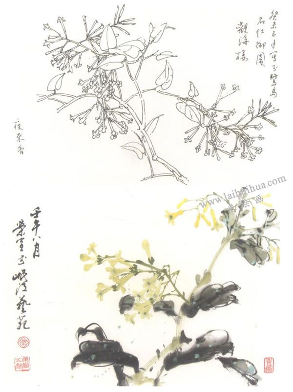 夜來(lái)香寫(xiě)意畫(huà)法