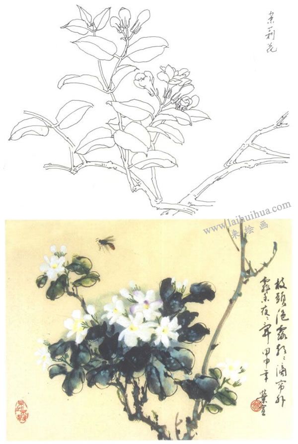 茉莉花寫意畫法