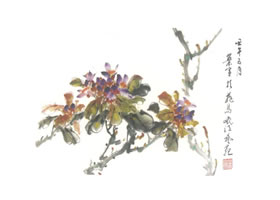 香櫞寫意畫法