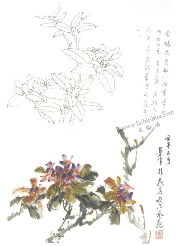 香櫞寫意畫法