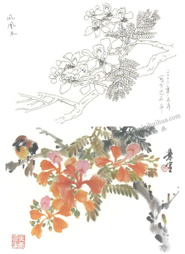 鳳凰木寫意畫法