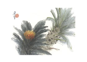 鐵樹寫意畫法