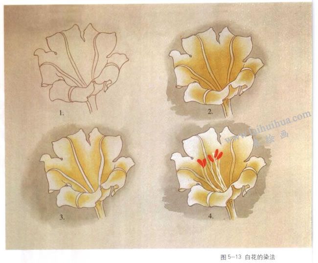 白花的染法：以扎伊爾花為例