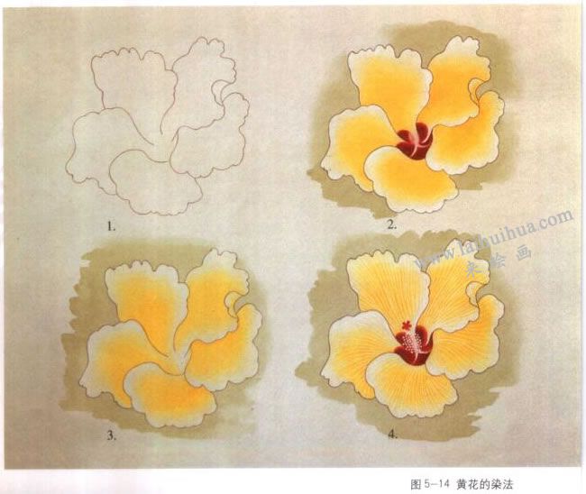 黃色花的染法：以蜀葵花為例