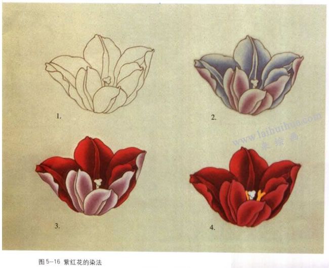 紫紅色花的染法：以郁金香花為例