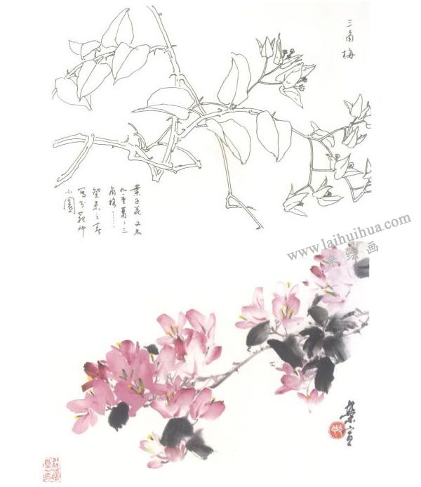 三角梅寫意畫法