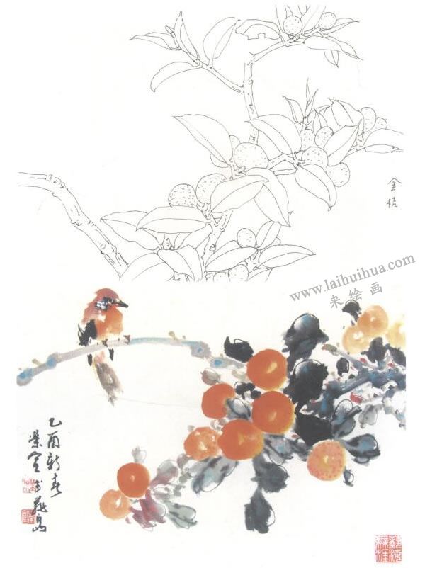 金橘寫意畫法