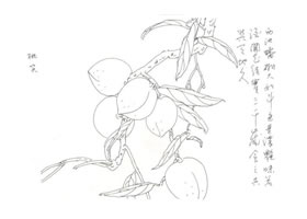 桃子寫意畫法