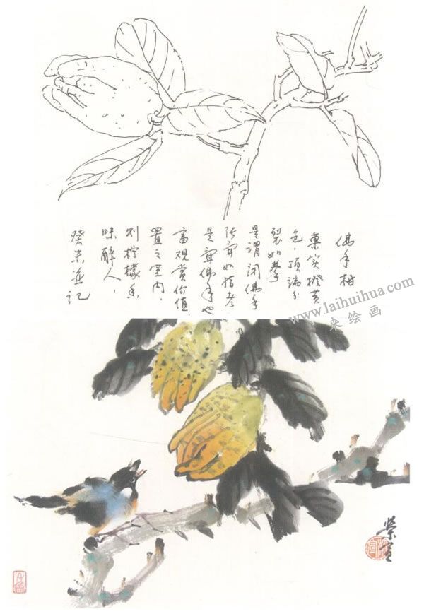 佛手柑寫意畫法