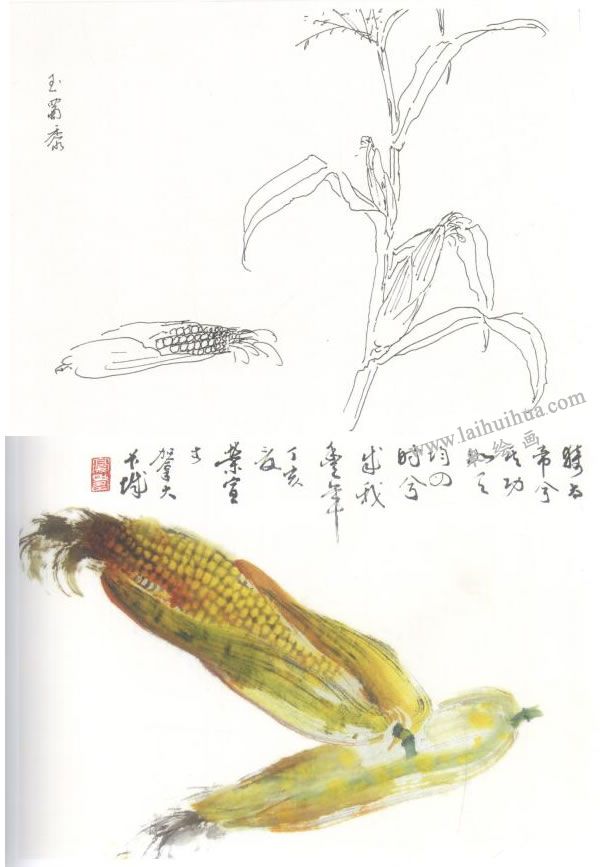 玉蜀黍（粟米）寫意畫法
