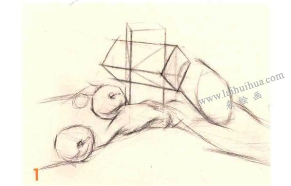 石膏體、水果組合素描畫法步驟圖示01