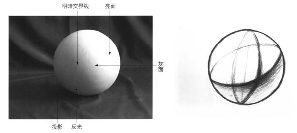 圓球體素描結(jié)構(gòu)的畫法圖示
