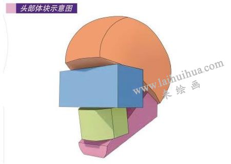 頭部體塊示意圖