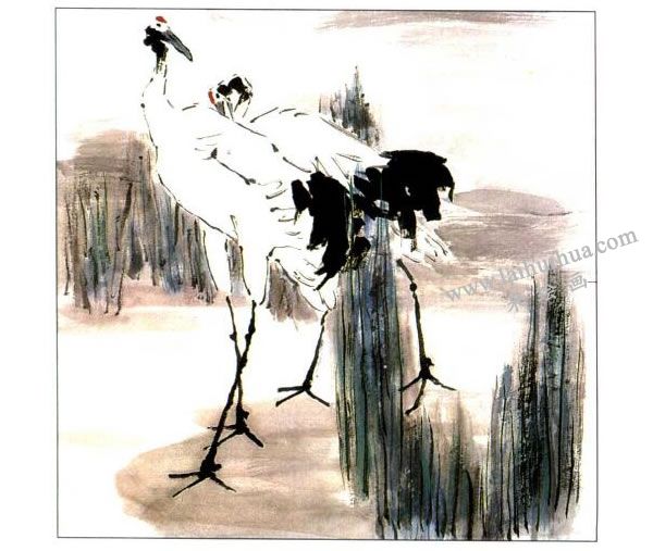 丹頂鶴畫法步驟04