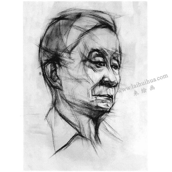老年人頭像結構素描畫法步驟圖示04