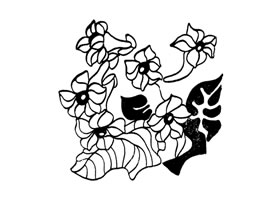 煙花裝飾畫圖片
