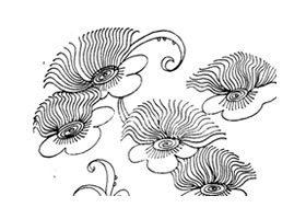 金絲桃裝飾畫圖片