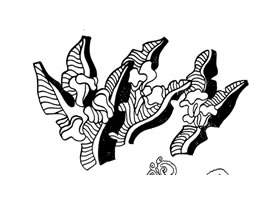 美人蕉裝飾畫圖片