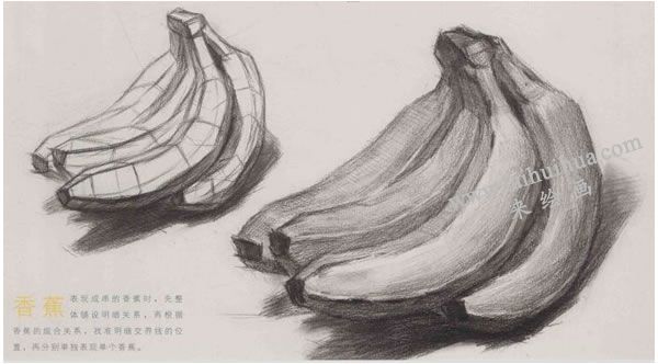 香蕉素描畫(huà)法圖示