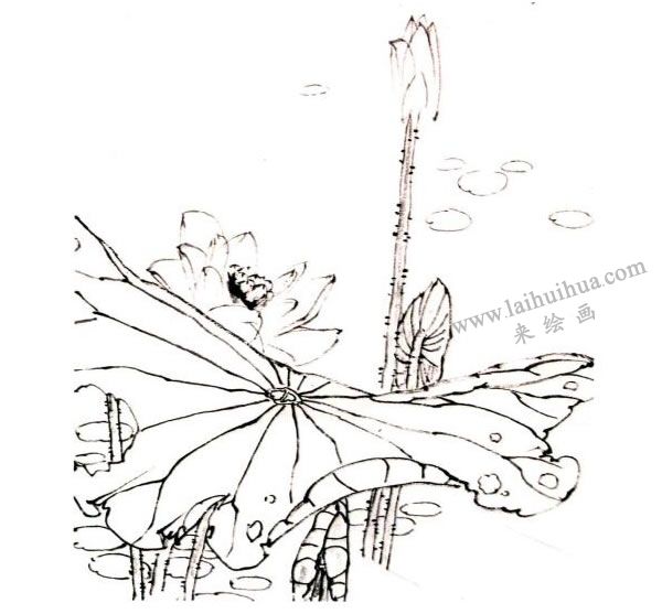 李同安《荷趣圖》小寫意畫法步驟圖示01