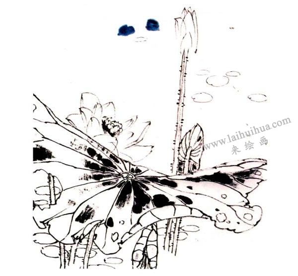 李同安《荷趣圖》小寫意畫法步驟圖示02