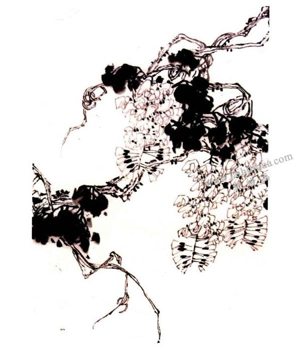 李同安《紫藤》小寫意畫法步驟圖示03