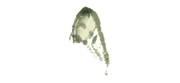 蝴蝶寫意畫法步驟圖示01