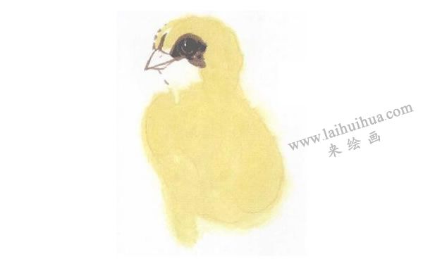 小黃雞寫意畫(huà)法步驟圖示02