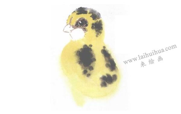 小黃雞寫意畫(huà)法步驟圖示03