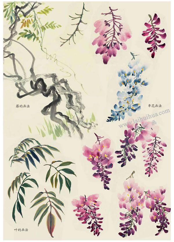 紫藤花葉的畫法