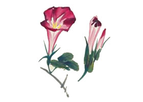 牽?；ǖ膶懸猱嫹ǎㄈ? />
</span>
</span>
</a>
</p>
<p class=