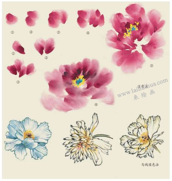 芍藥花的畫(huà)法