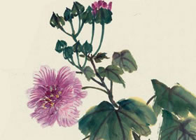 木芙蓉花寫意畫法