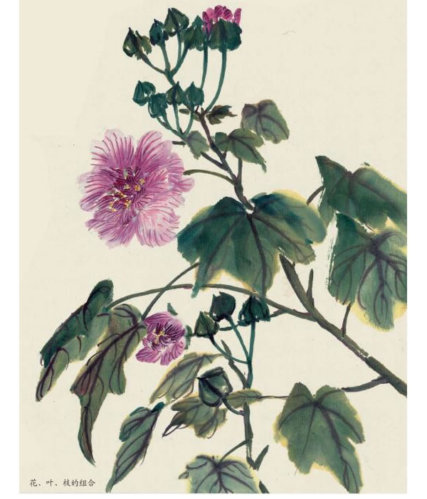 木芙蓉花寫意畫法