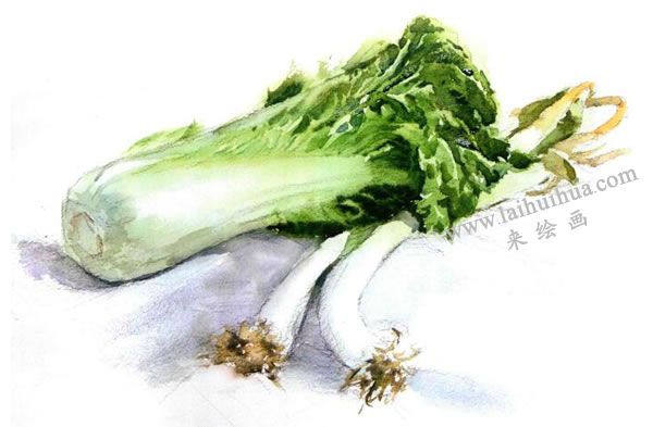 白菜與大蔥水彩畫法步驟圖示04