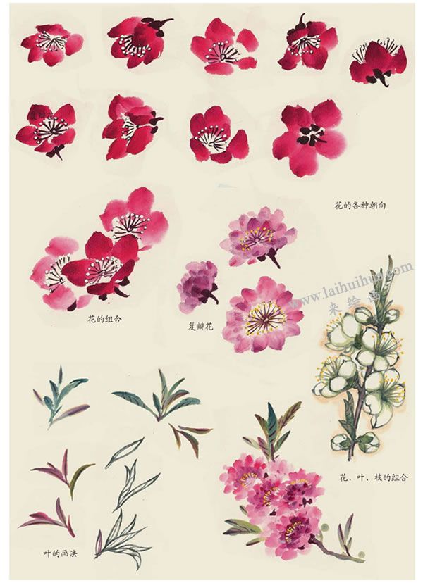 桃花葉子的畫法