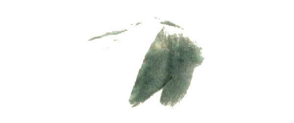 黃蜻蜓的寫意畫法步驟圖示01