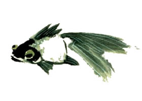 金魚的寫意畫法（二）