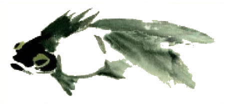 金魚寫意畫法步驟圖示03
