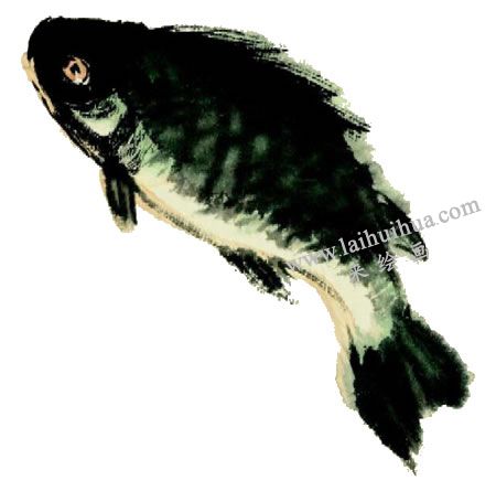 鯽魚的寫意畫法步驟圖示03