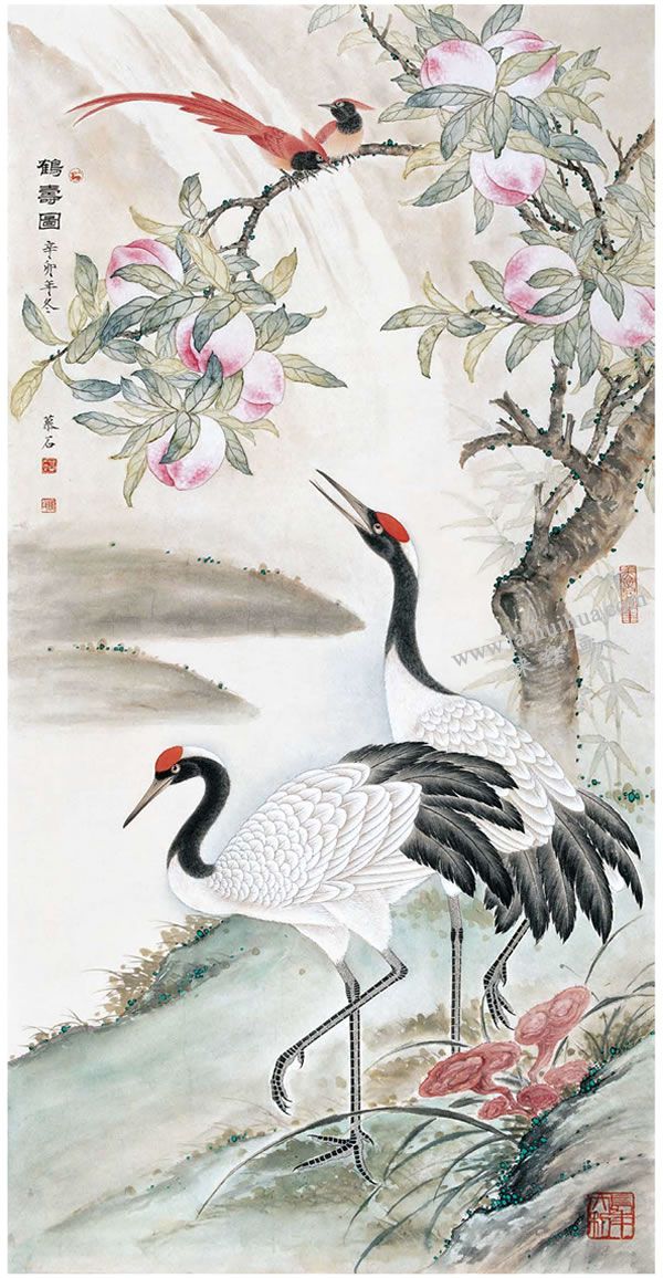 工筆畫《鶴壽圖》步驟圖示05