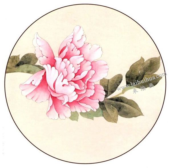 工筆畫《國(guó)色》（牡丹）繪畫步驟圖示04