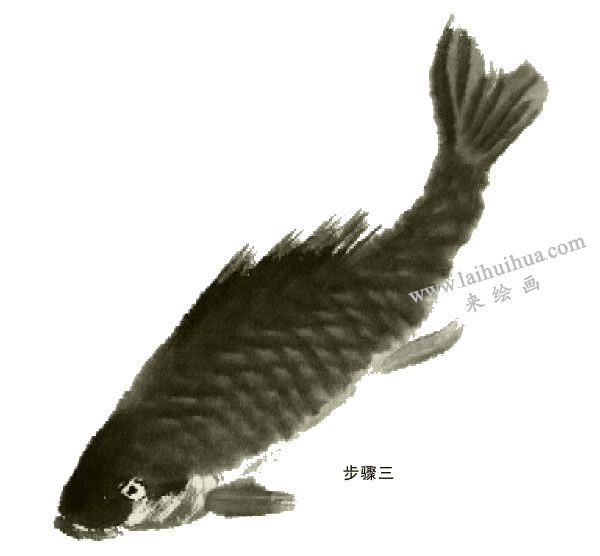 鯉魚的寫意畫法步驟圖示03