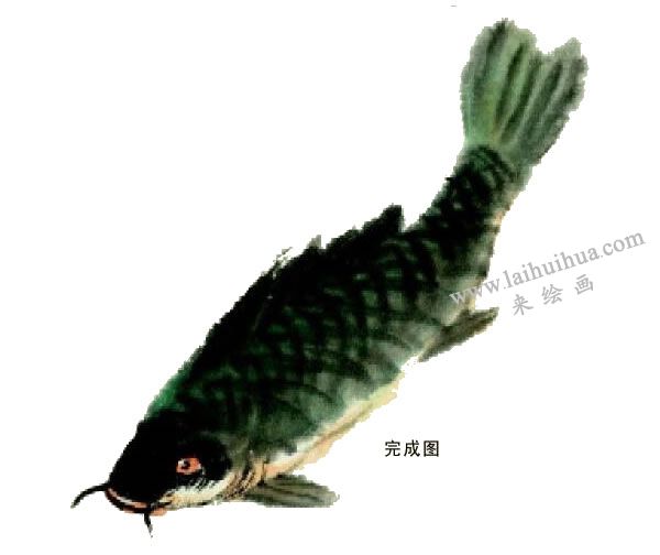 鯉魚的寫意畫法步驟圖示05