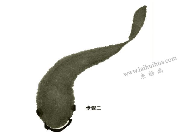 鯰魚的寫意畫法步驟圖示02