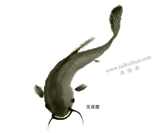 鯰魚的寫意畫法步驟圖示04