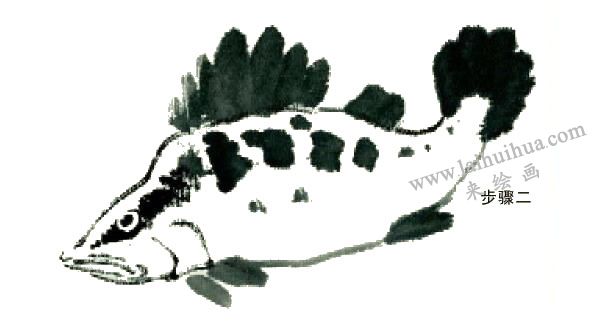 鱖魚(yú)的寫(xiě)意畫(huà)法步驟圖示02