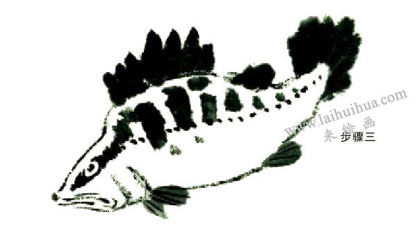 鱖魚(yú)的寫(xiě)意畫(huà)法步驟圖示03