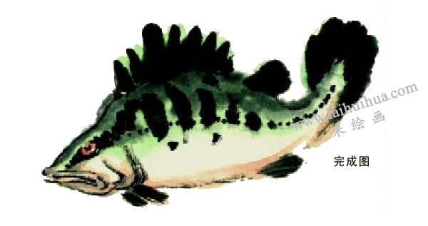 鱖魚(yú)的寫(xiě)意畫(huà)法步驟圖示05