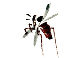 黃蜂的寫意畫法步驟圖示